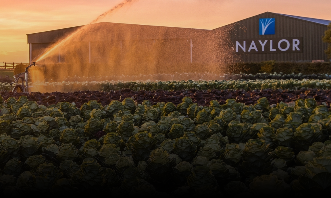 Naylor Flowers British Flower Grower
